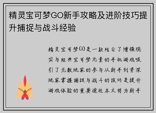 精灵宝可梦GO新手攻略及进阶技巧提升捕捉与战斗经验